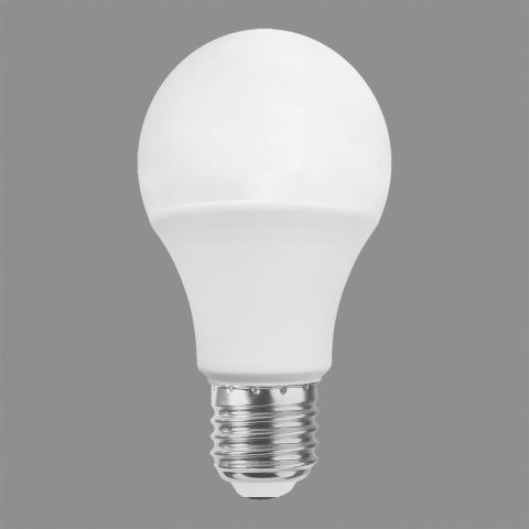 Lampes Ampoules a Globe LED avec Culot a Vis Edison E27 A60 8W 1100Lm